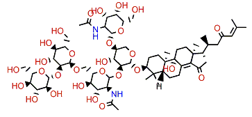 Sarasinoside L